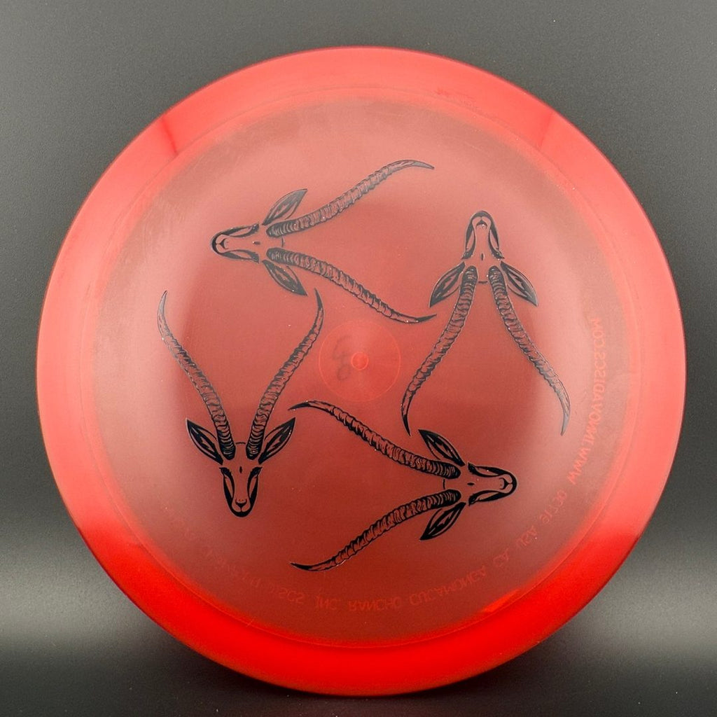 Champion Gazelle - Artist's Corner