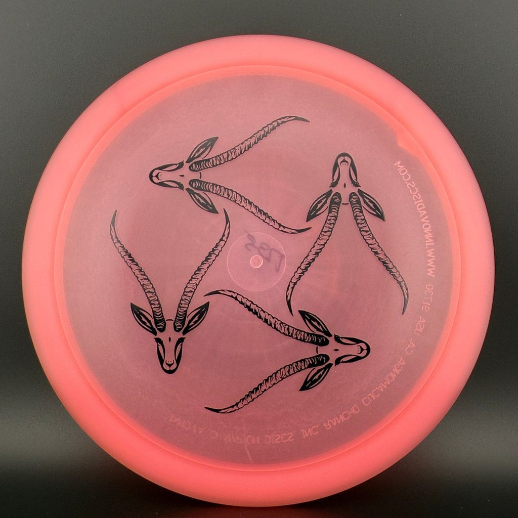 Champion Gazelle - Artist's Corner
