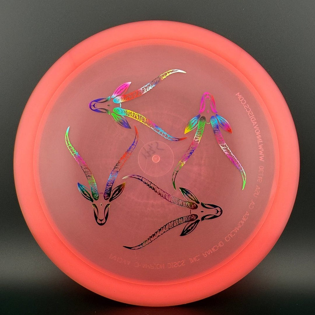 Champion Gazelle - Artist's Corner