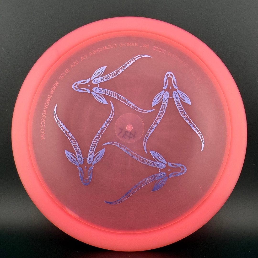 Champion Gazelle - Artist's Corner