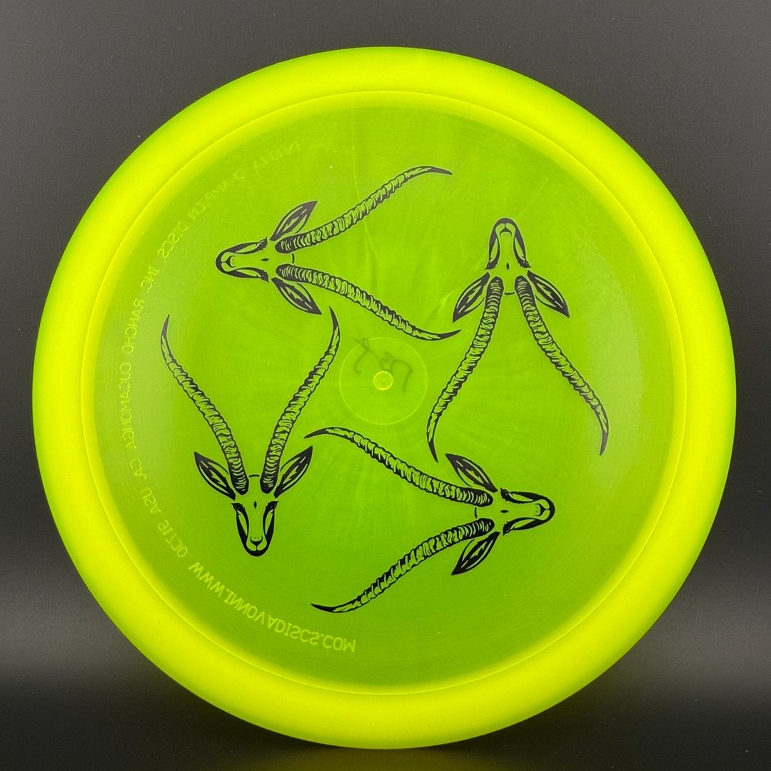 Champion Gazelle - Artist's Corner
