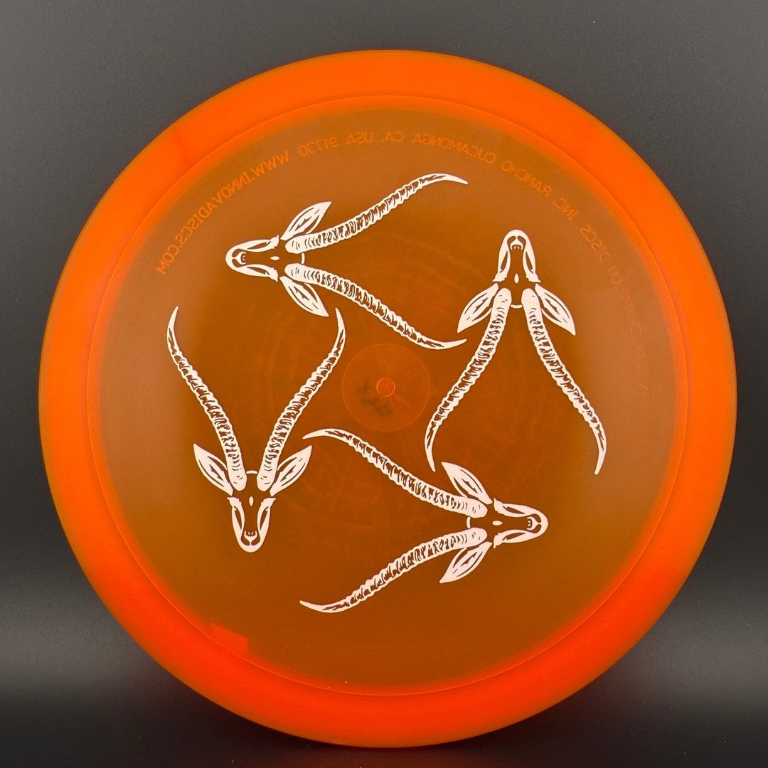 Champion Gazelle - Artist's Corner
